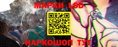 Альфа ПВП Краснознаменск
