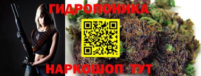 Альфа ПВП Краснознаменск