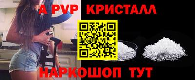 Альфа ПВП Краснознаменск