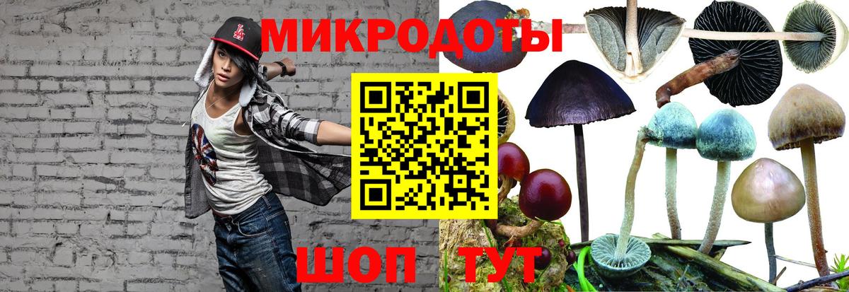 Псилоцибиновые грибы MAGIC MUSHROOMS  Галлюциногенные грибы Cubensis  Сочи  Вход с VPN 